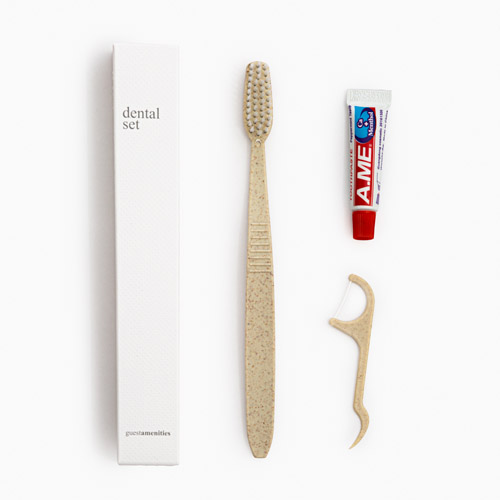 Dental Kit